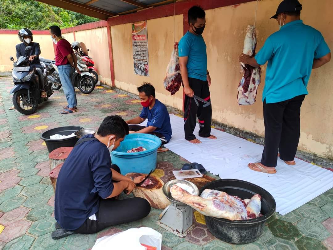 penyembelihan qurban 2